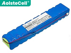 Bateria do Smiths WZL-506